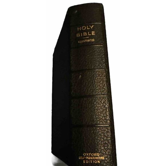 HOLY BIBLE ILLUSTRATED Oxford Self-Pronouncing Edition VTG King James READ - Picture 1 of 10